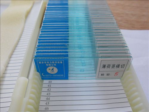 生物切片套装